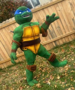 Rent a Ninja Turtle