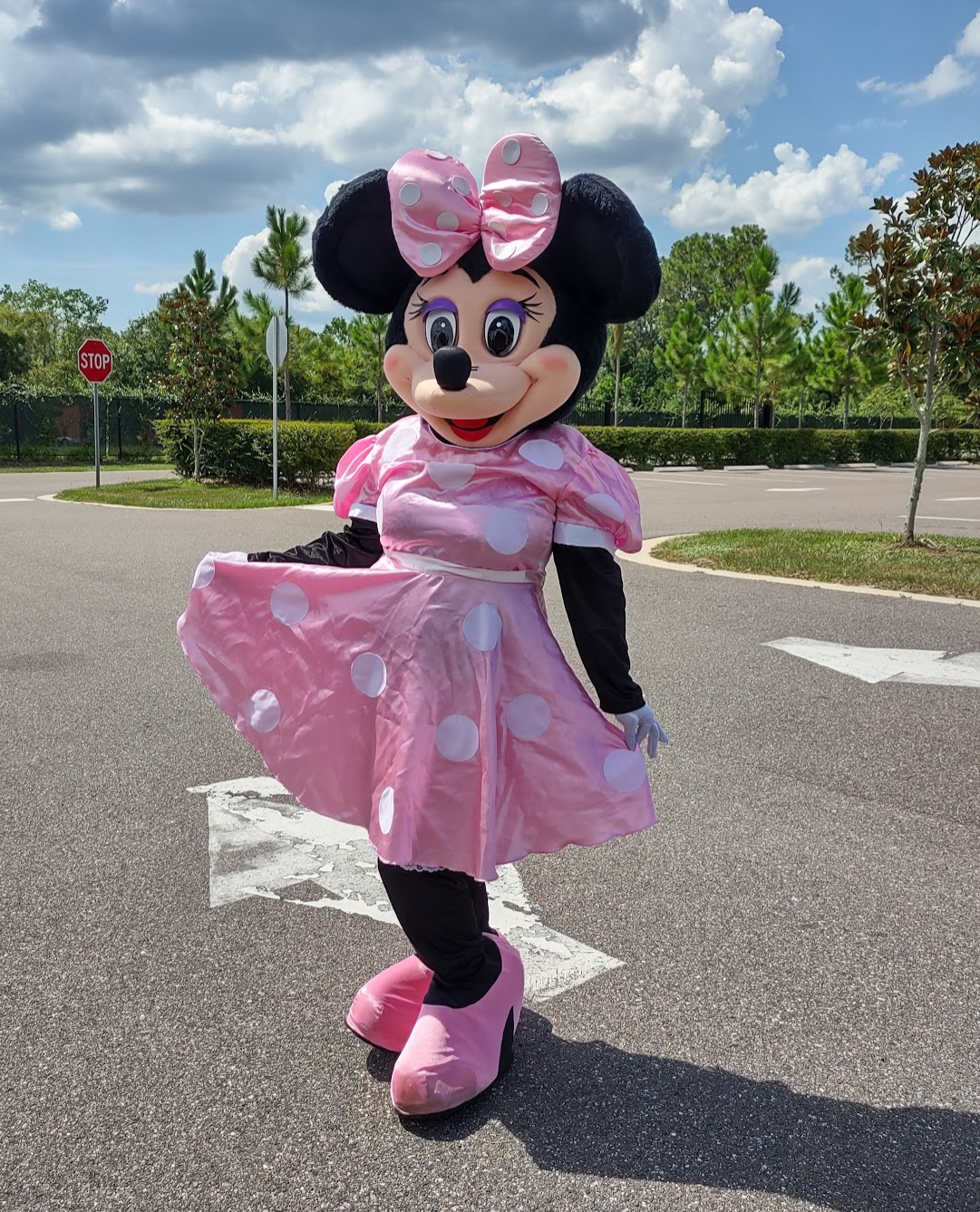 Kansas City Birthday Party Characters, Rent Spiderman, Kids Party